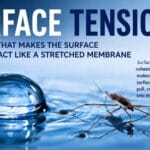 What is Surface Tension