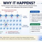 Why Surface Tension Occurs